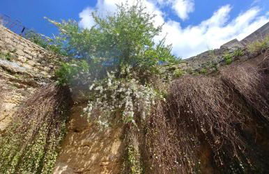 "la Casina del forno con piscina fra Catania e Siracusa " - Foto 46
