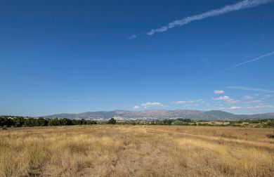 SAQA Organic Farm - Foto 31