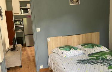 OTA T2 proche rivières et plages, randonnées - Foto 9