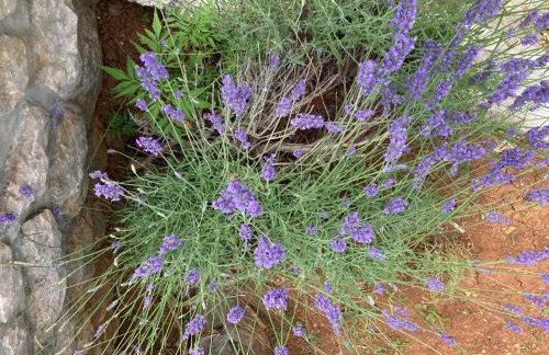 Apartment Jasna B - Foto 45