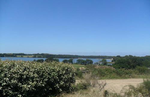 De la quenouille - Foto 18