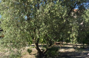 La maison des Amis - Foto 23