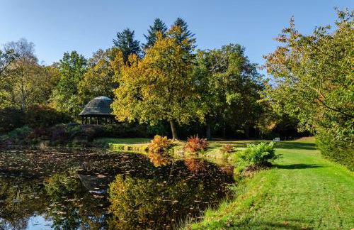 Schlossblick - Foto 25