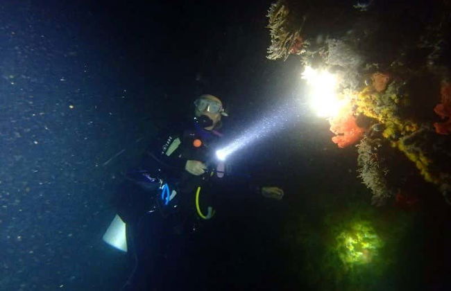 Scuba Diving in Unawatuna - Foto 6