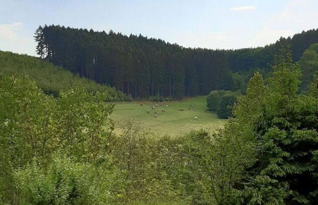 Wohnung in Silbecke mit Garten - Photo 31