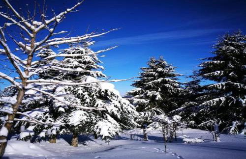 Heatable Pool Retreat - Foto 16