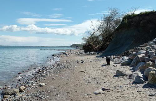 Ferienhaus Ebsen HH links - Foto 24