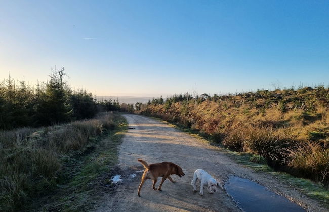 Bashall Barn, Eaves Hall, Outbarn all Close by - Foto 23