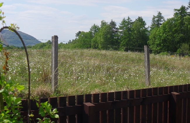 Tower Ridge Apartments - Foto 40