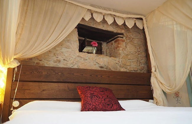 Mas Cal Sastre - Photo 5