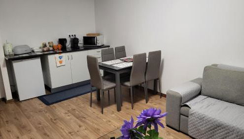 The Blue Hydrangea - Photo 5