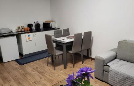 The Blue Hydrangea - Photo 5