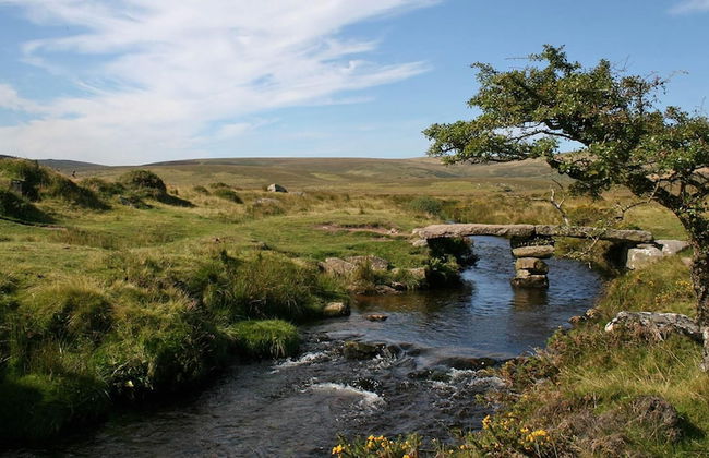 Lovely Period Cottage Sleeps 4 Resting in Torquay - Foto 30