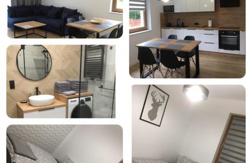 Apartamenty Black&White Lubawka - Domek z ruską banią i sauną - Foto 12