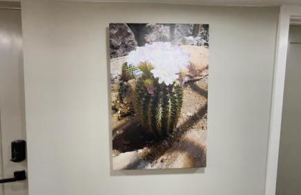 Private Home - Heated Pool, Billiards, Darts, Foosball, Fireplace, 5 Smart TVs, BBQ, Cotton Bedding - The Saguaro Sanctuary, Pool Heat Optional - Foto 12