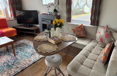 Stunning Pet Friendly 2 bed StaticCaravan in Clarach Bay 2017 model - Foto 29