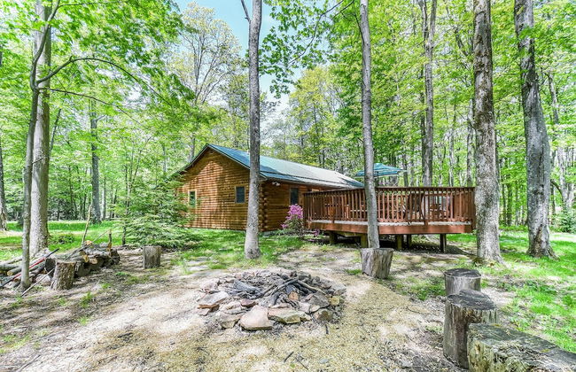 Lincoln Log Cabin - Foto 28