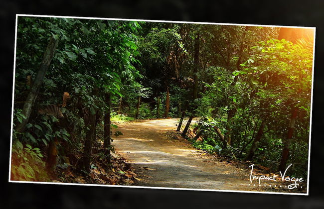 Kandy Holiday Residence - Foto 38