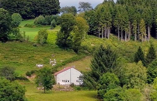 Gîte nature rénové dans les Vosges Saônoises - FR-1-583-459 - Foto 35