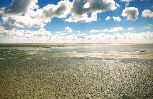 Tammwarftshof - Foto 43