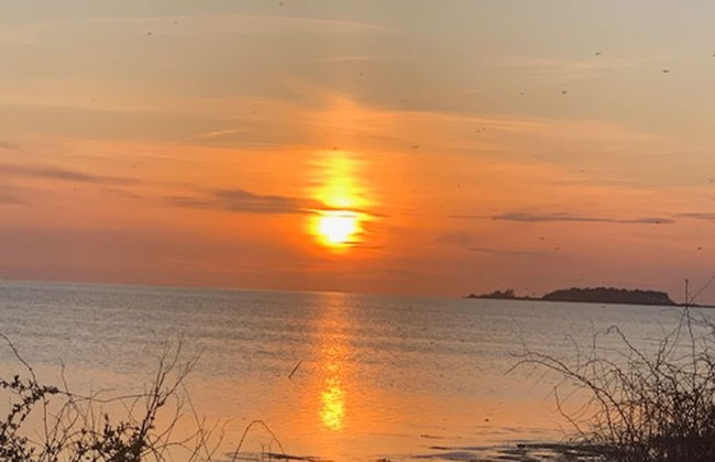 "Asvalde" - 200m to the fjord - Foto 20