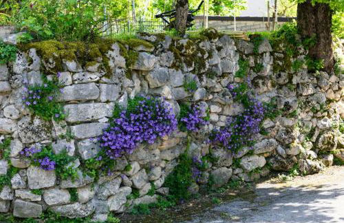 la Casa del Vico - Foto 15