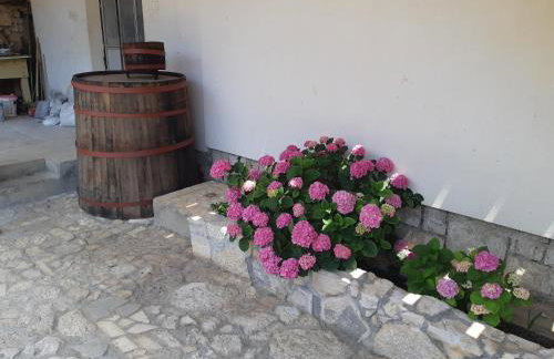 Apartman VeDE Baćina - Foto 29