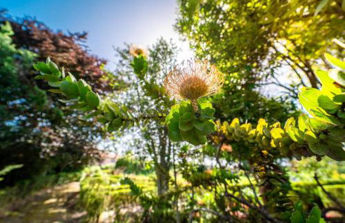 Casa da Tia Clementina - Foto 27