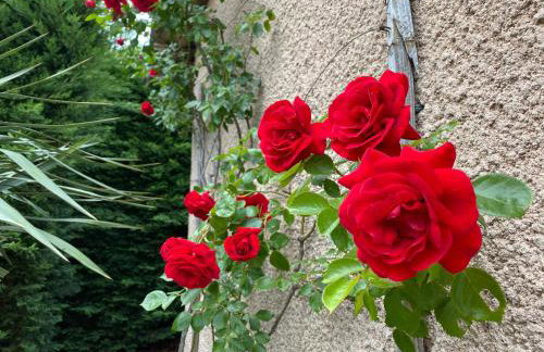 Gîte du Mercadal Les Pujols - Foto 46