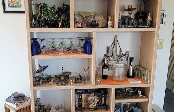 Fish Crazy House - Photo 46