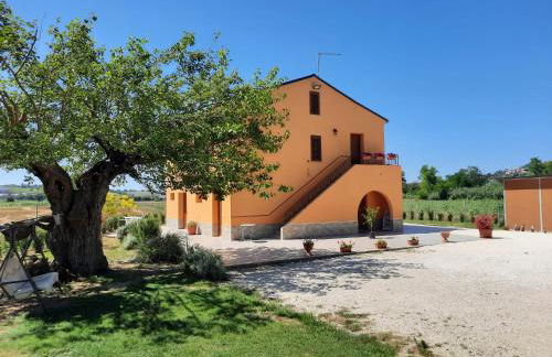 IL CUORE DEL CONERO - CASALE CON PISCINA, Natura e Relax - Foto 4