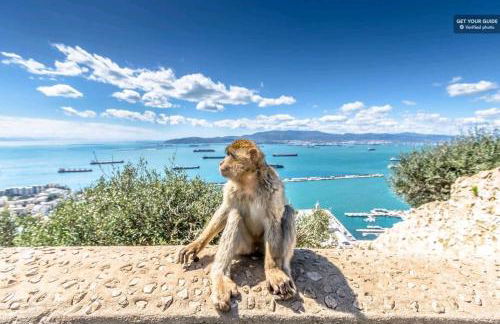 Matchroom Country Club Perla Roja 1 - Foto 66