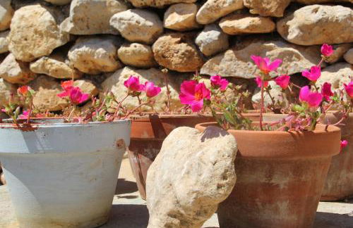 Mas des 4 Vents - Foto 19