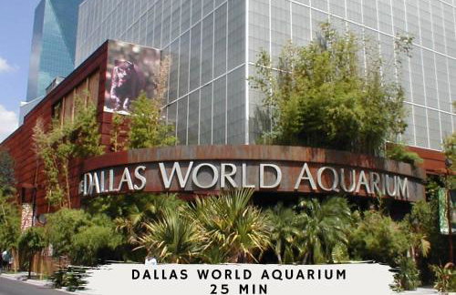 Grand Gem for Large Groups - Pool Cinema Playroom - Foto 55