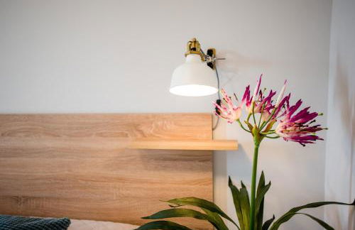 Apartamentos River Santander - Foto 61