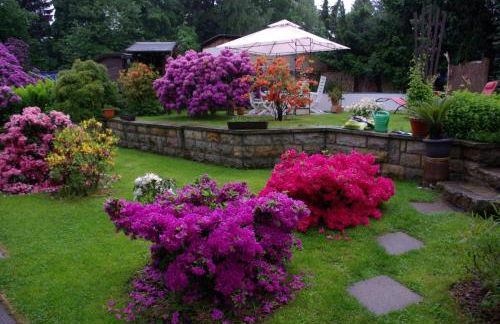 Ferienwohnung „Kleine Liebe“ - Photo 21