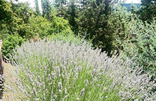 Angolo,di Chianti - Foto 29