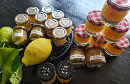 Le Citrus - Séjour cosy en plein centre historique - Foto 22