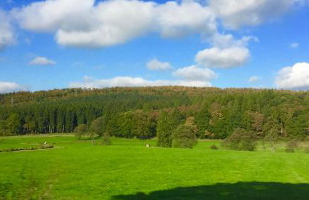 Comfort-Apartment - Foto 37