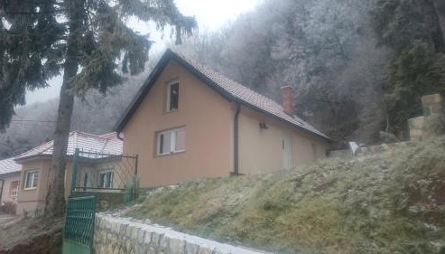 Zlatica - Photo 2
