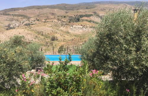 Secano de Paco - Foto 34