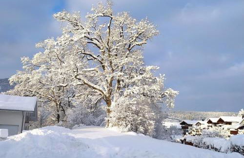 Hirtenbichel - [#93755] - Foto 16