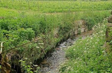 As Casinhas de Santo Ovidio - Foto 21