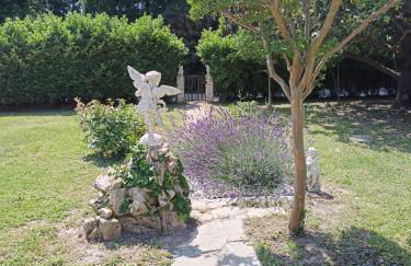 A l'ombre de l'olivier - Foto 16