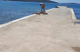 Oleander adria - Foto 37