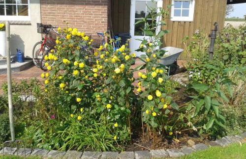 Luxuswohnung, 90 qm, Balkon, beste Lage in Kollmar - Foto 4