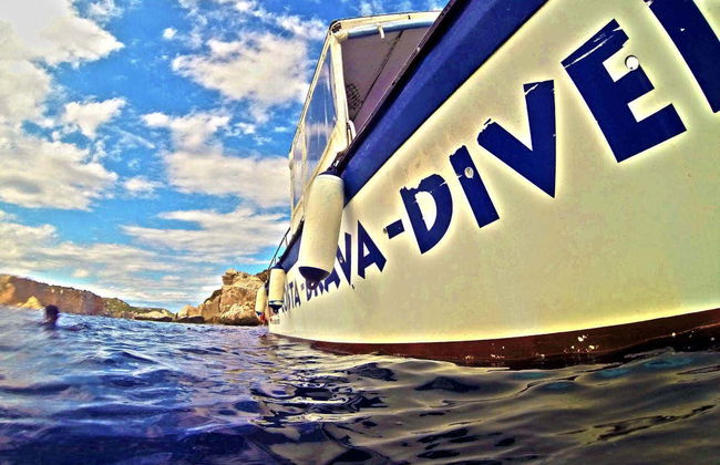 Snorkeling dans les îles Medes - Photo 5