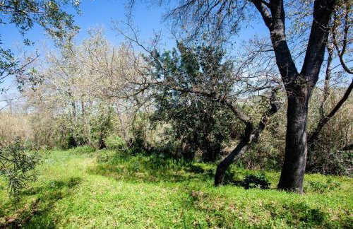 Onar Camper - Photo 13