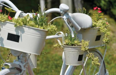 Amazing Home In Vinica With Sauna - Foto 13