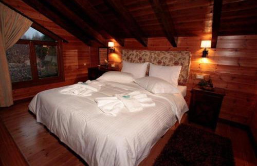 Suites Efharis Filoxenon - Foto 48